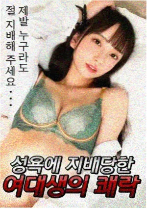 海贼王补番顺序指南 配图